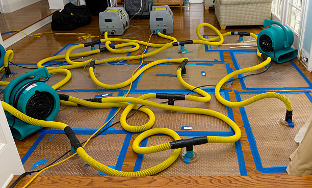 Professional Crawl Space Water Removal technician working in Forest Knolls, CA